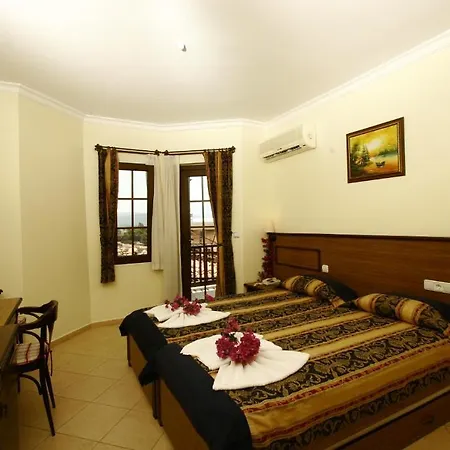 Gokova 2* 아키아카